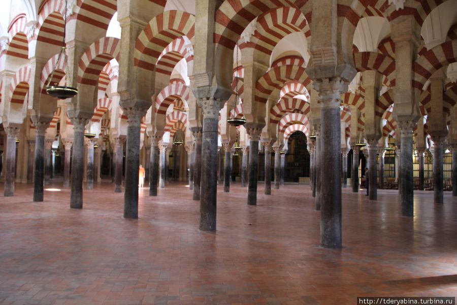 Зал ста колон в мечети в Кордобе Андалусия, Испания