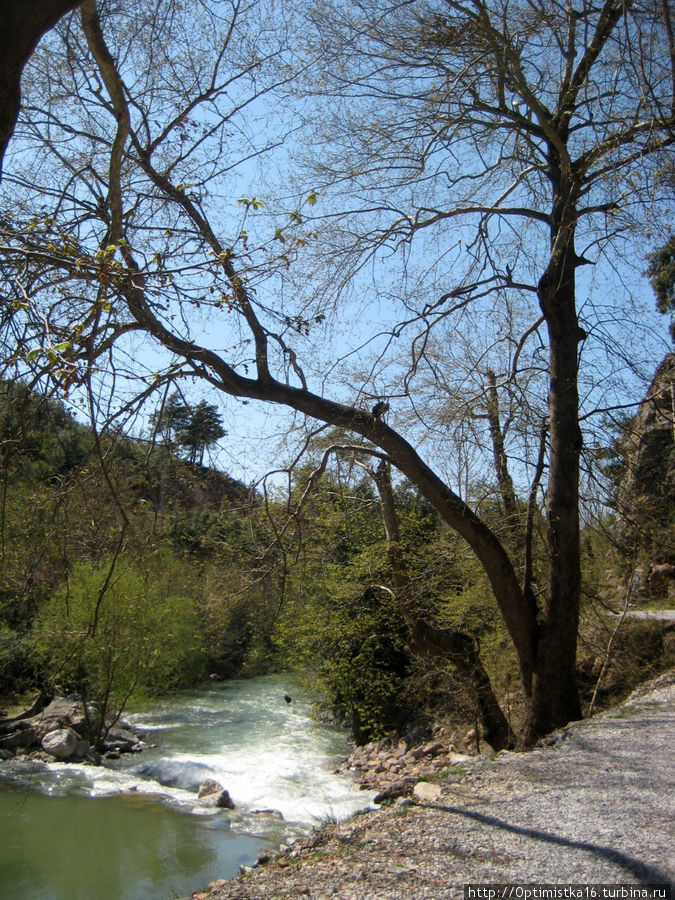 Красивейшее место для неспешной прогулки недалеко от Алании Алания, Турция