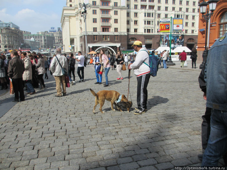 На Манежной площади Москва, Россия
