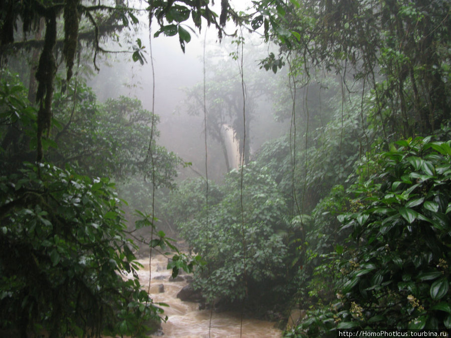 Водопад Ла-Пас Провинция Алахуэла, Коста-Рика