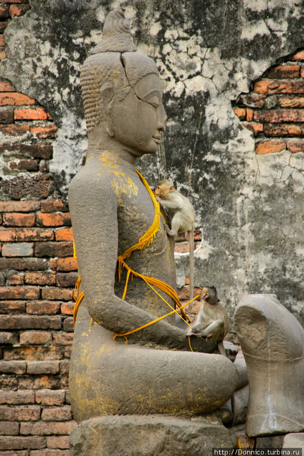 трюки на Будде 2: вертикальный подъем Лоп-Бури, Таиланд