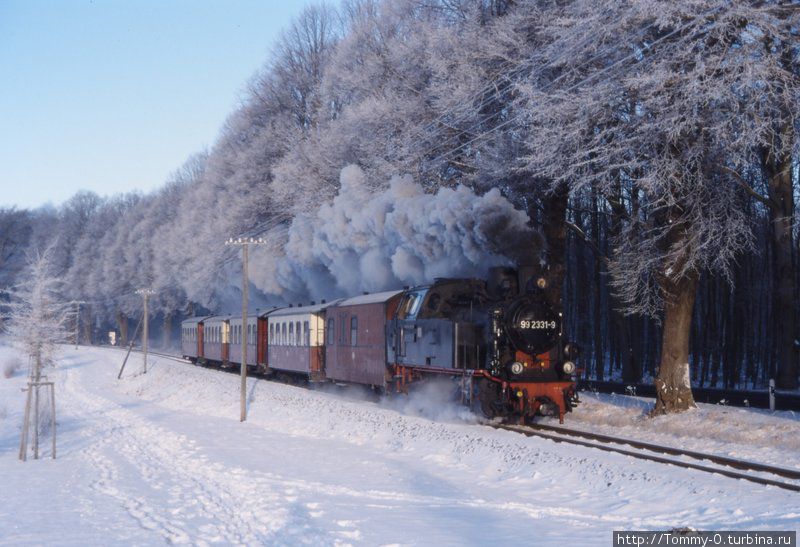 Через зимний лес. С 10 февраля Молли отрыл весенний сезон Германия