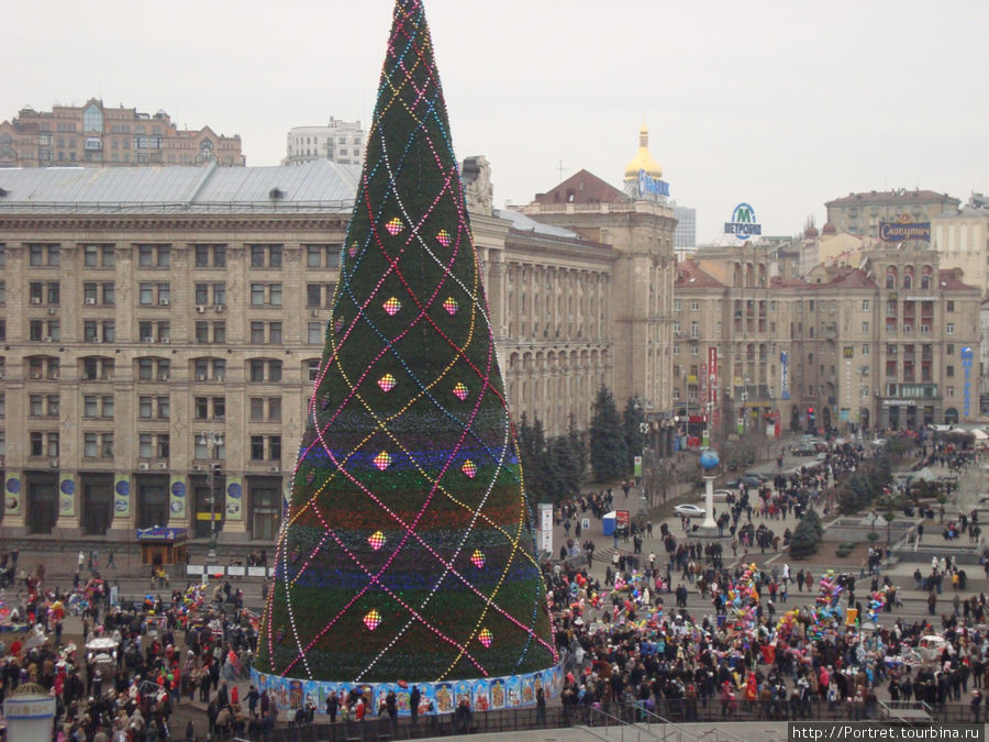 Киевская елка: дома не понравилась, в Европе названа лучшей Киев, Украина