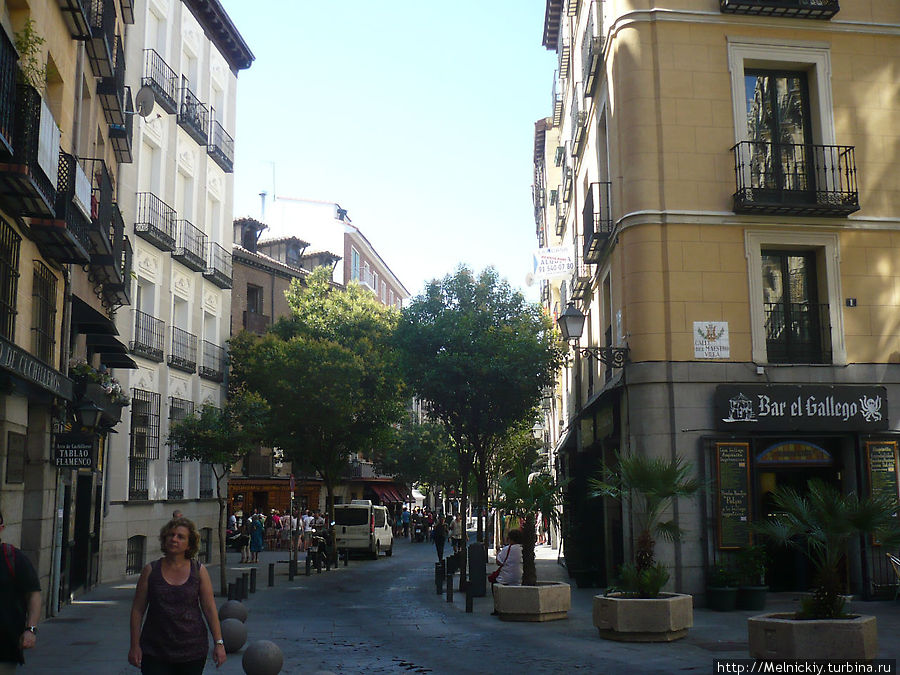 Прогулка по улочкам Мадрида Мадрид, Испания