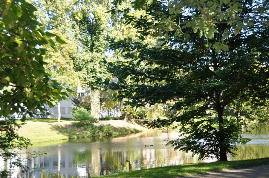 Бременская осень Бремен, Германия