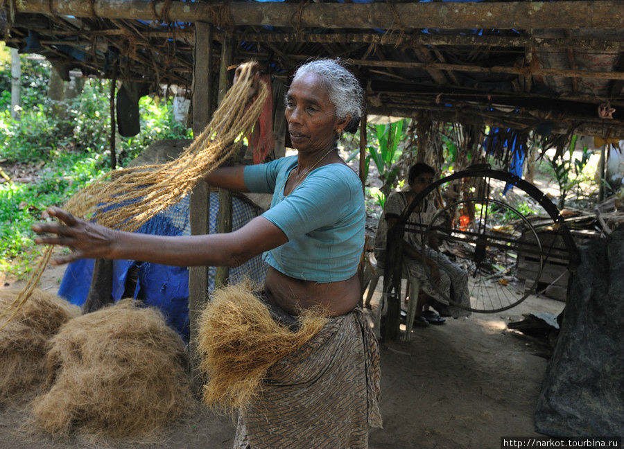 изготовление канатов из кокосового волокна Кочи, Индия