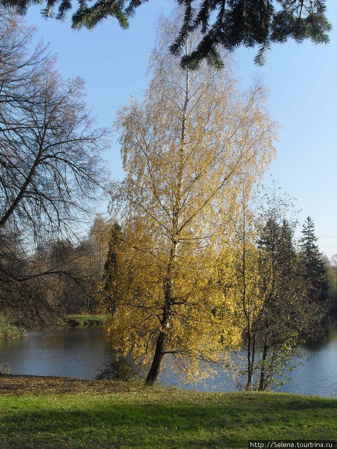 Шуваловский парк осенью Санкт-Петербург, Россия