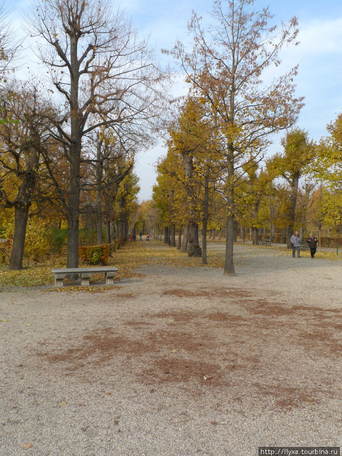 Осенний парк дворца Шенбрунн Вена, Австрия