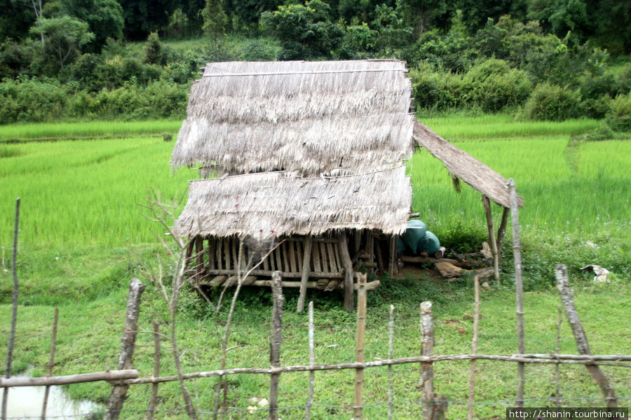Типичный сельский дом Провинция Сиенгкхуанг, Лаос