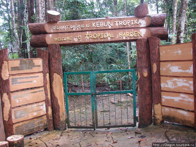 Огромная территория развлечений в джунглях Кота-Кинабалу, Малайзия