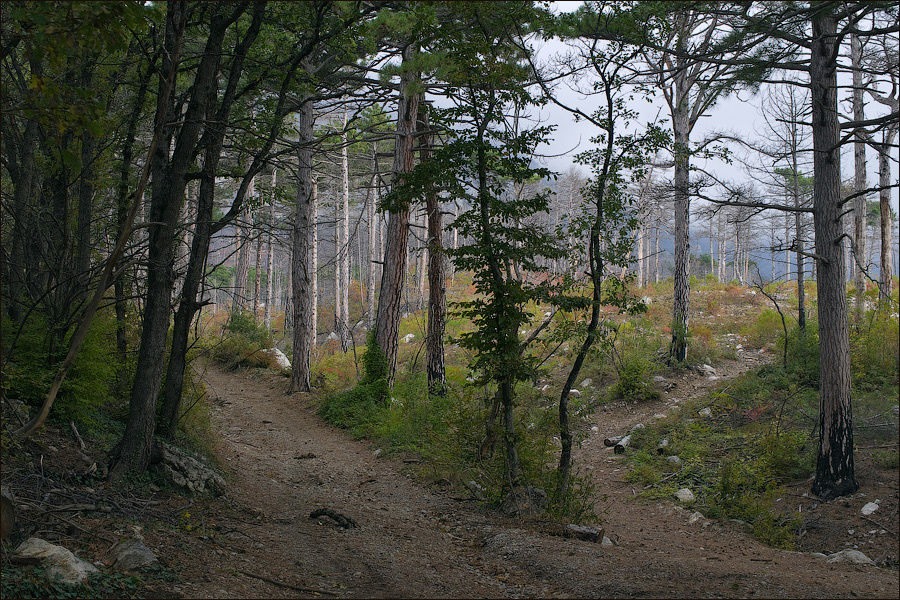 Шанхайская восточная Алупка, Россия