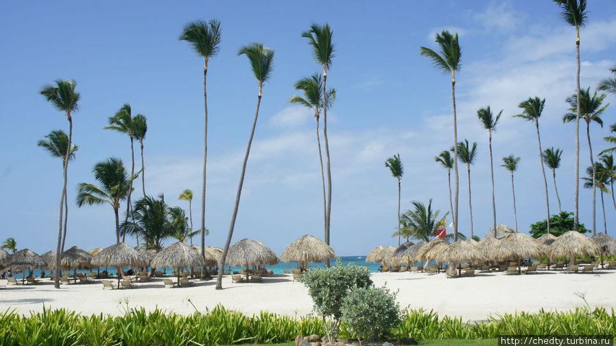 Море, песок, пальмы то зачем люди ездят на Карибы