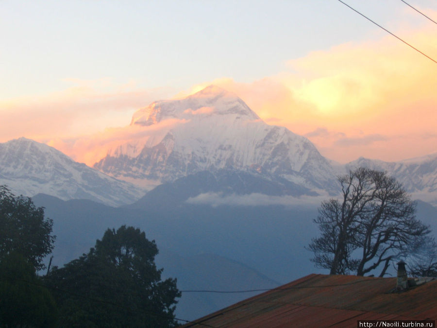 Трек вокруг Аннапурны: вверх по лестнице, ведущей в никуда Горепани, Непал