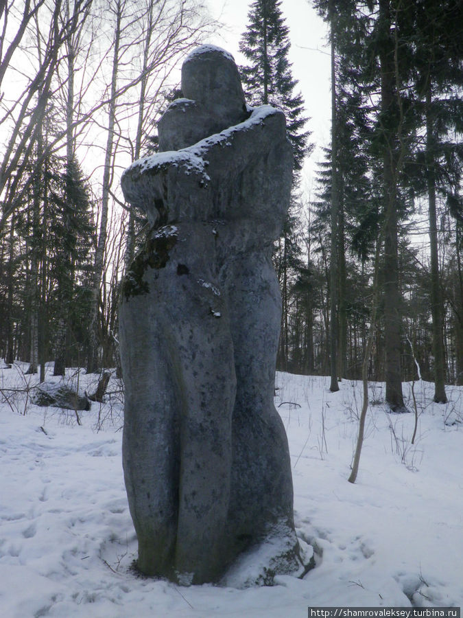 Серый январь Лахти, Финляндия