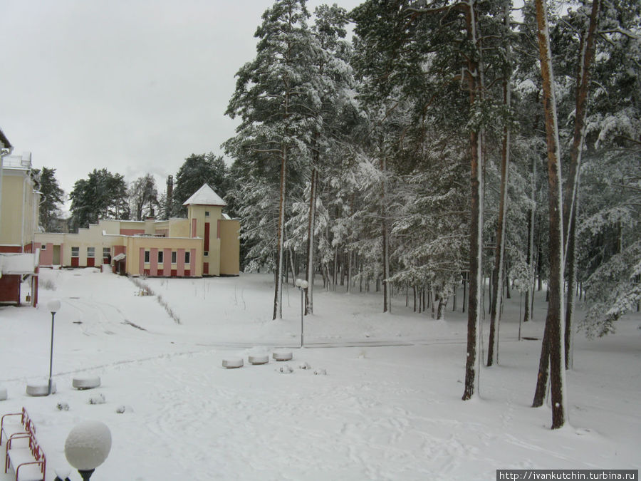 Внезапно выпал снег... Витебская область, Беларусь