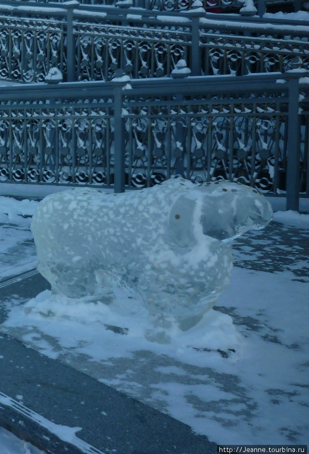 и даже овечка Хабаровск, Россия