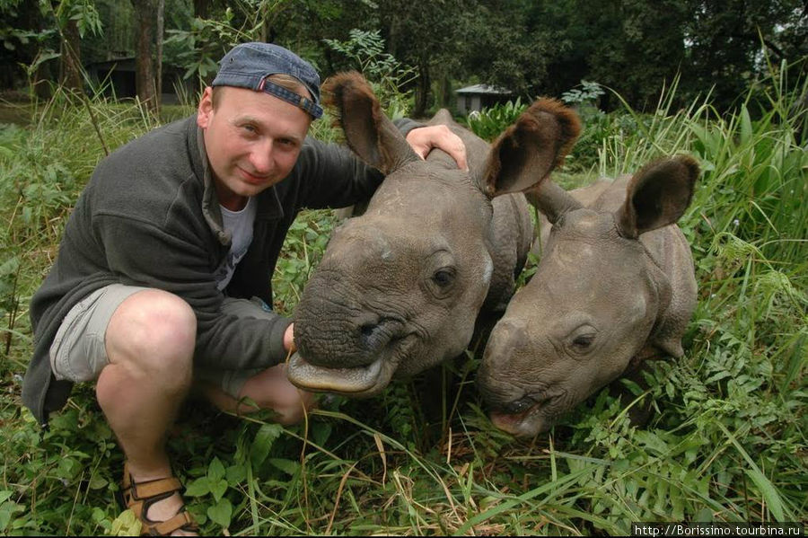 Эти малыши ещё очень маленькие и доверчивые. Пройдёт несколько лет и они начнут проявлять свой крутой носорожий нрав. Тогда их отправят в какой-нибудь зоопарк. Может быть, к нам в Ригу? Непал