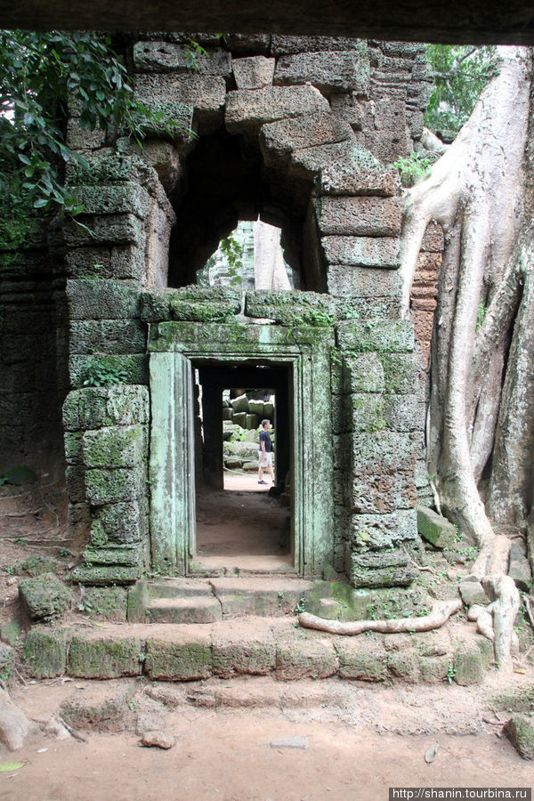 Храм Анджелины Джоли Ангкор (столица государства кхмеров), Камбоджа