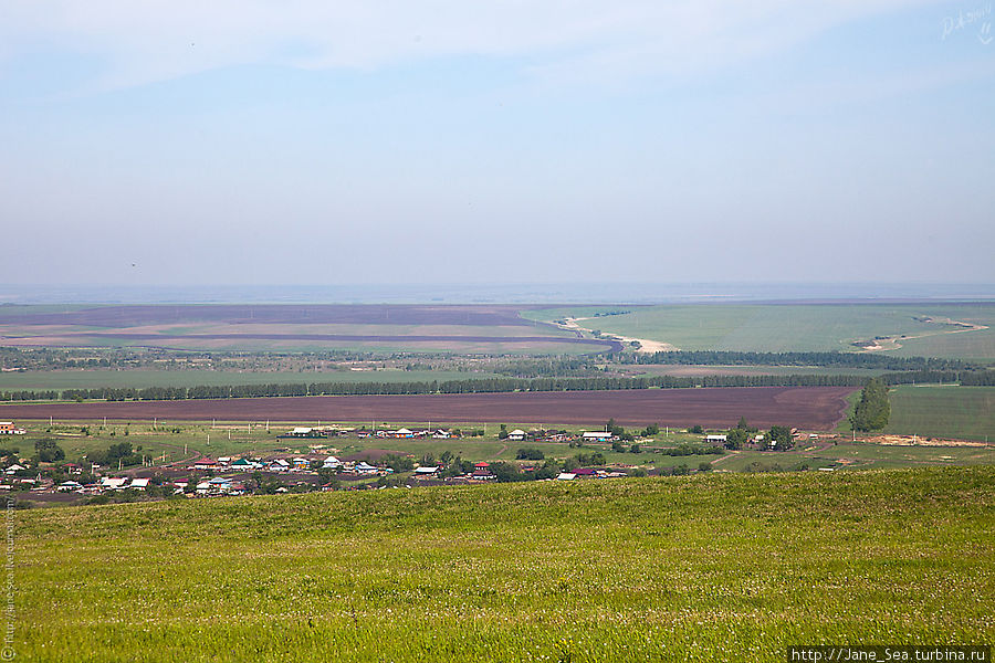 Вид на Старобелокуриху с дороги на Даниловку