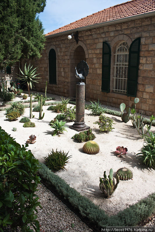 Японский сад кактусов, с павлинчиком на постаменте у админздания бахаистов Хайфа, Израиль