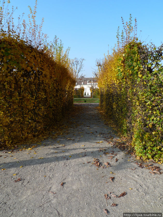 Осенний Бельведер Вена, Австрия