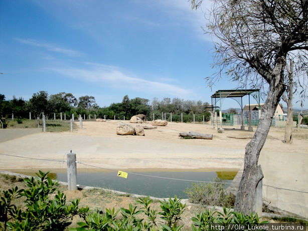 Зоопарк Фригия, Тунис Тунис