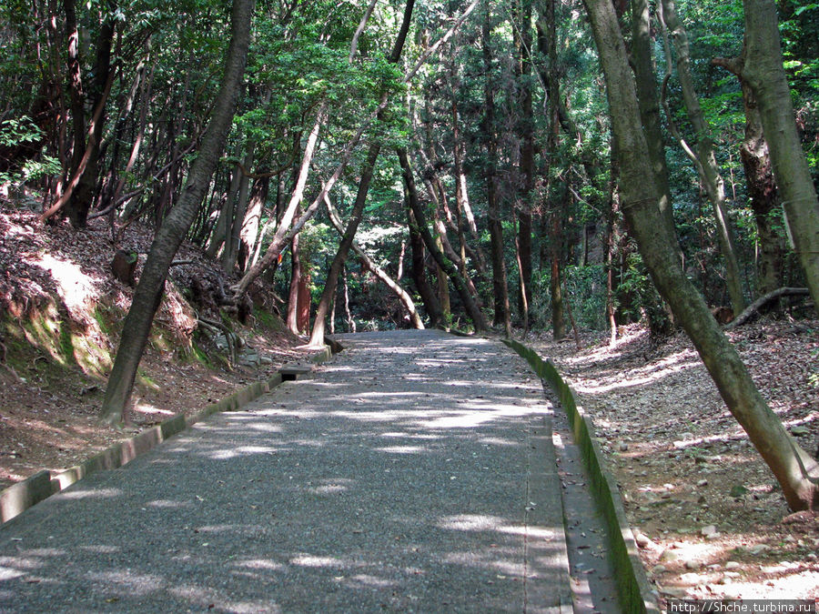 А к комплексу ведет тенистая дорога, слава богу, вниз Тадзими, Япония