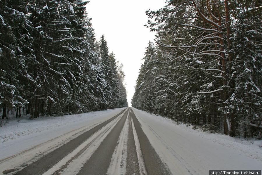 дорога в Малый Боровск, Россия
