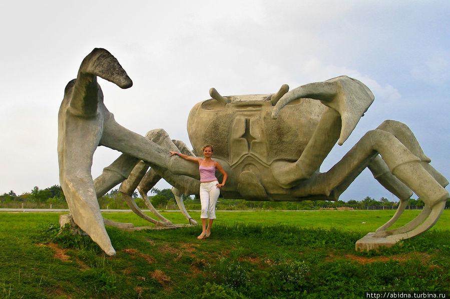 На въезде в городок установлена необычная скульптура, гигантский бетонный краб Карденас, Куба