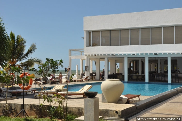 Территория отеля невелика, но и бассейну, и газонам нашлось место. Негомбо, Шри-Ланка