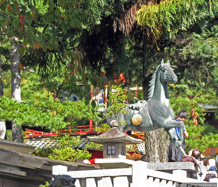 Издалека, через ветви на статуей лошади мы наблюдали за сложными движениями куклы Такаяма, Япония