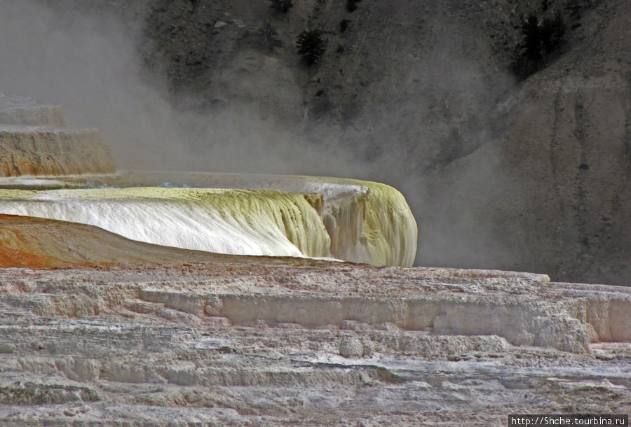 Мамонтовы горячие источники (Mаmmoth). Верхние террасы Йеллоустоун Национальный Парк, CША