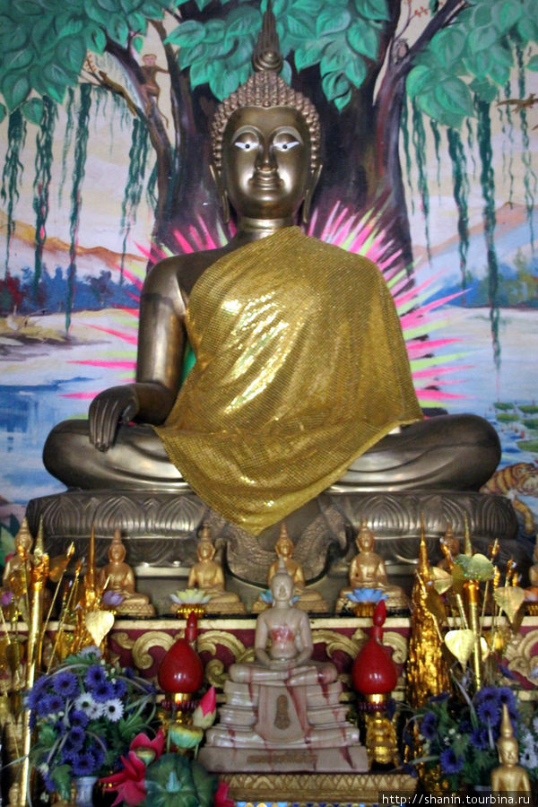 Будда в храме, Ват Боупха Випасана Луанг-Прабанг, Лаос