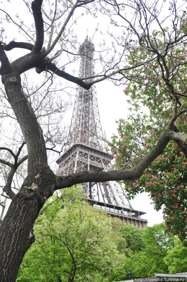 Мост влюбленных в париже. Где нибудь в париже а там. Где нибудь в париже а там. Эйфелева башня. Где нибудь в париже а там.