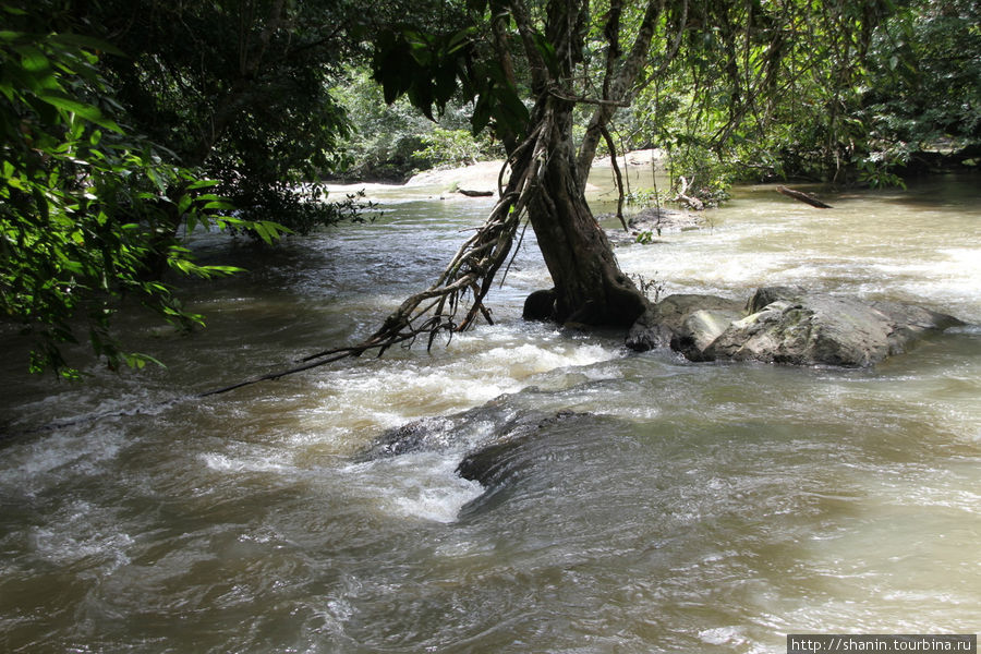Река Лам Таконг в сезон дождей Кхао-Яй Национальный Парк, Таиланд