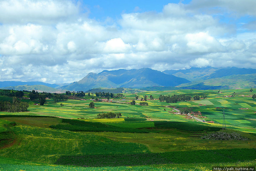 Поля в горах Перу смотрятся как произведение искусства. Ну чем не пэчворк? А ведь эти угодья на высоте почти 4000 метров над уровнем моря. Перу