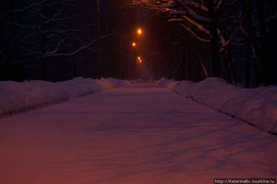 Люблю смотреть, как снег искрится в лучах солнца или фонарей! :) Москва, Россия