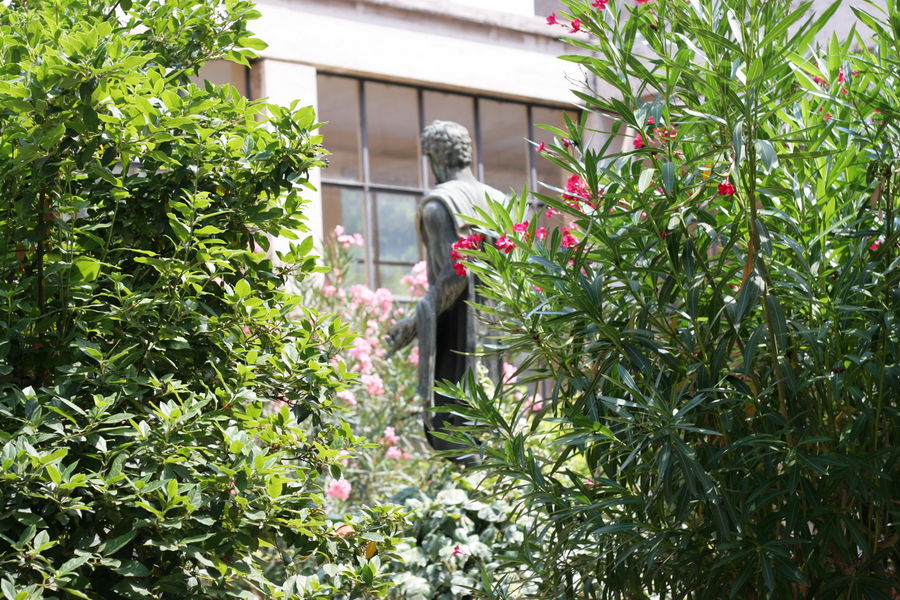 В центре музея есть зеленый дворик, где можно отдохнуть. Рим, Италия