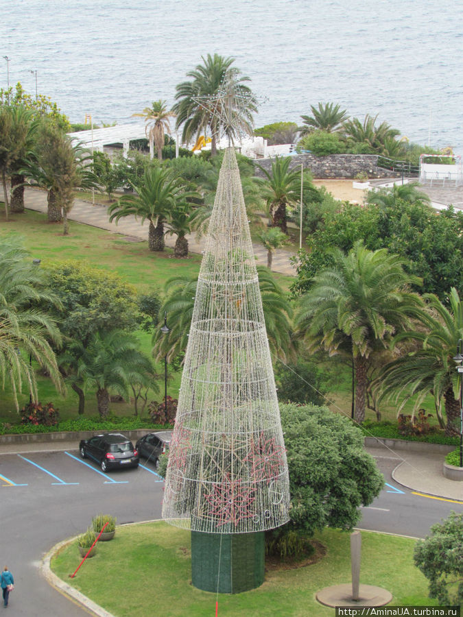 среди множества шикарных живых елок не нашлось новогодней, установили искусственную Фуншал, Португалия