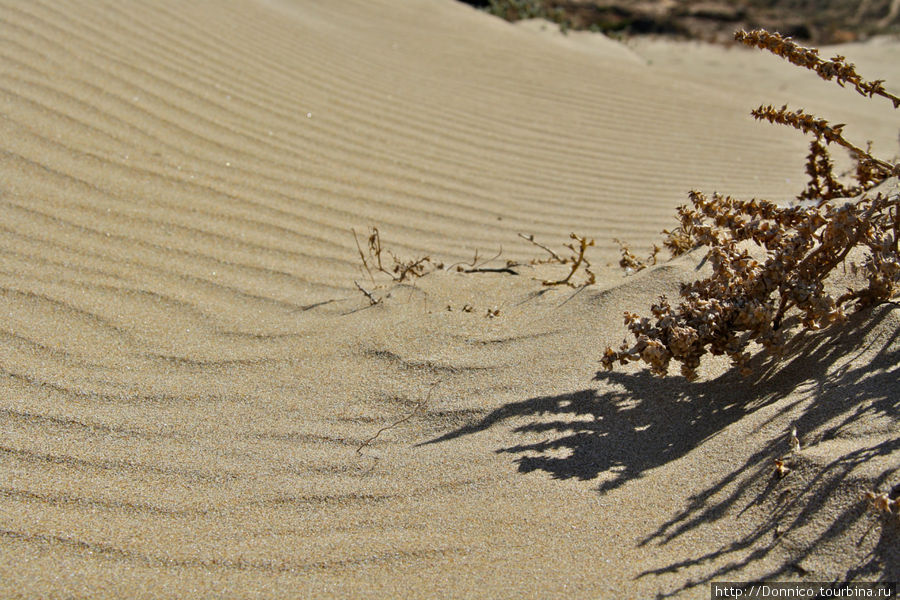 Пляж Аглу - царство песчаного рельефа и ибисов
