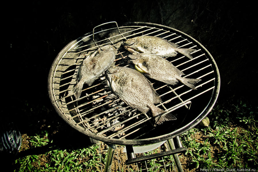 рыбное барбекю Чангу, Индонезия