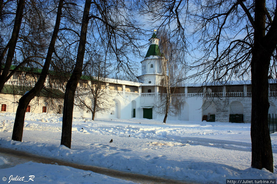 Русский Иерусалим,покрытый снегом: субъективный фоторепортаж Новый Иерусалим (Истра), Россия