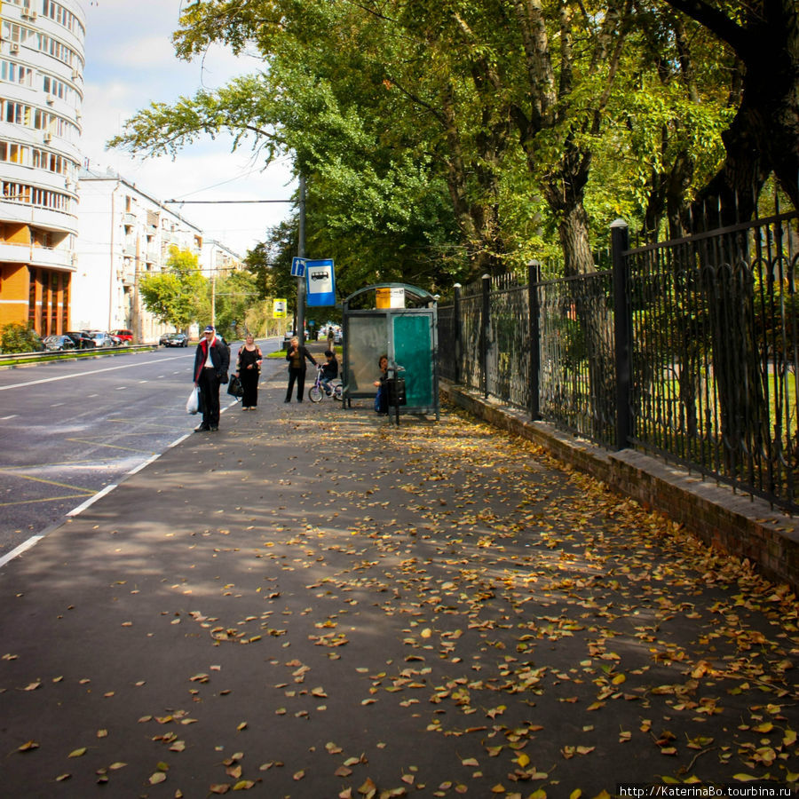 Моя Москва: осень в Строгино и Серебряном бору Москва, Россия