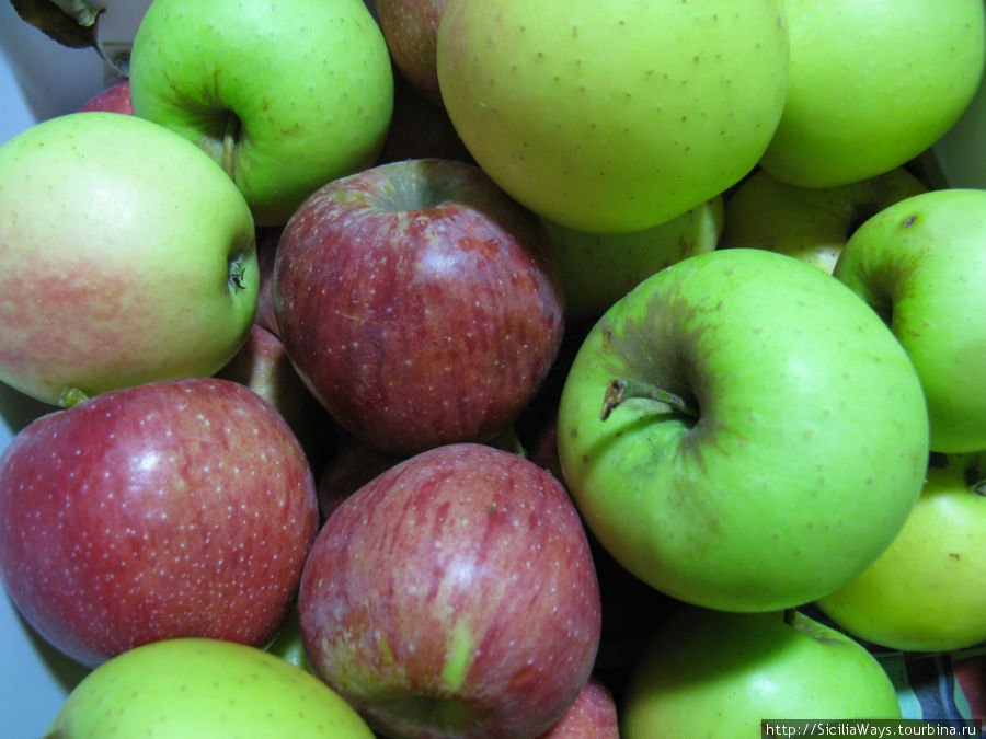 Знаментые яблоки с Этны, сочные и кисло-сладкие, урожай собирают в октябре. Сицилия, Италия