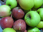 Знаментые яблоки с Этны, сочные и кисло-сладкие, урожай собирают в октябре.