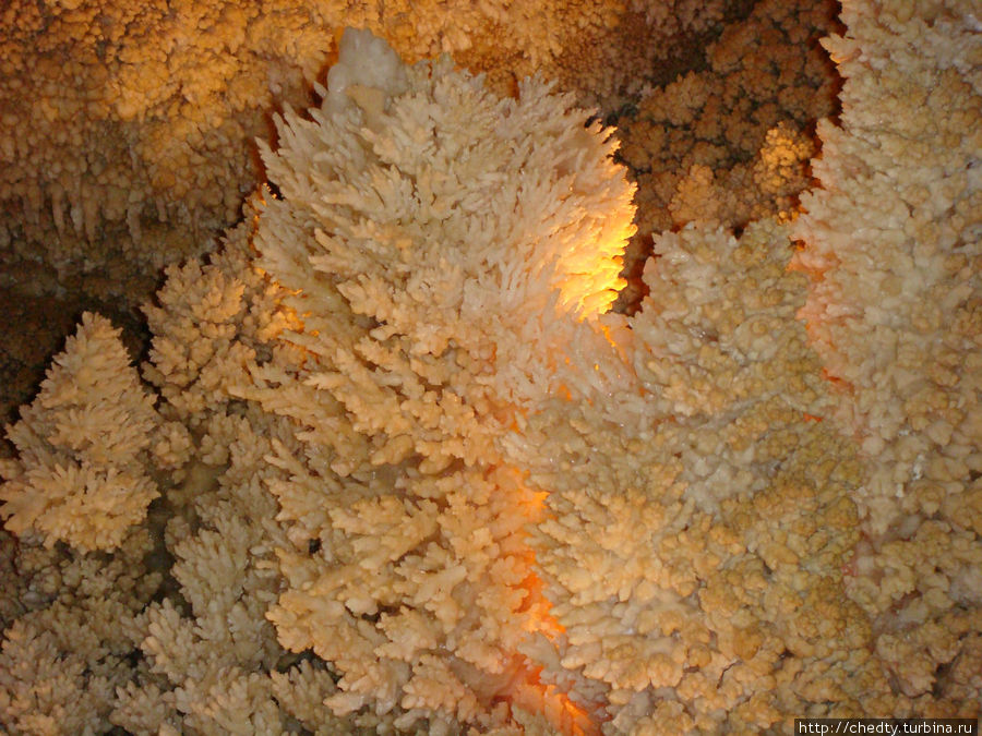 Продолжение кораловой темы. Сонорские Пещеры. CША