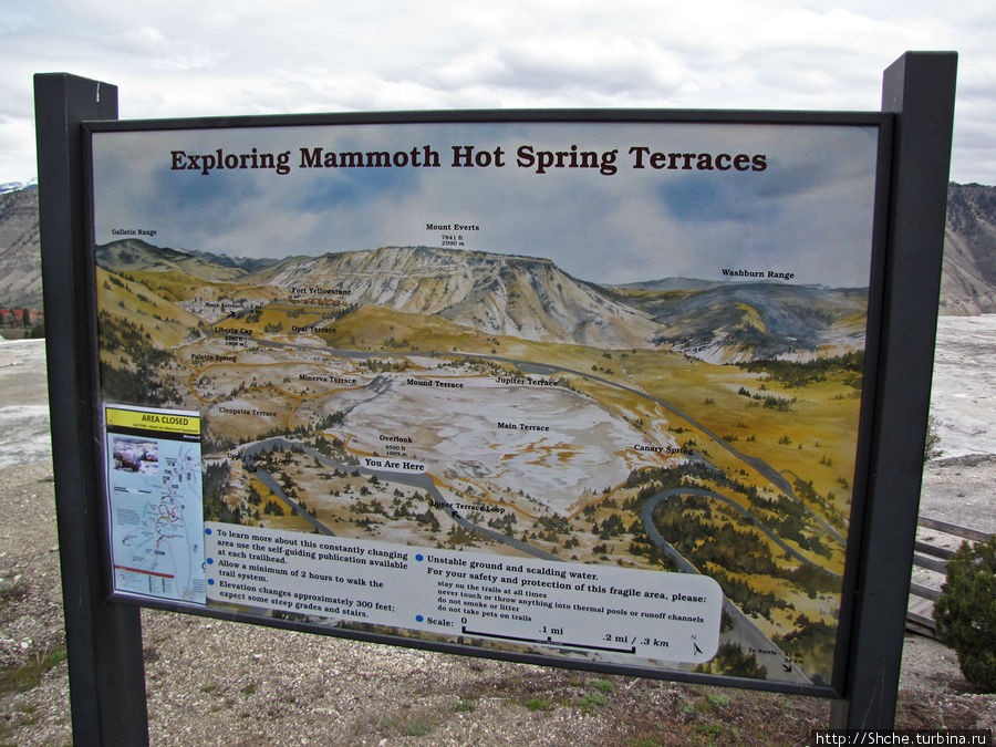 Террасы Мамонтовых горячих источников (Mammoth Hot Spring) Йеллоустоун Национальный Парк, CША
