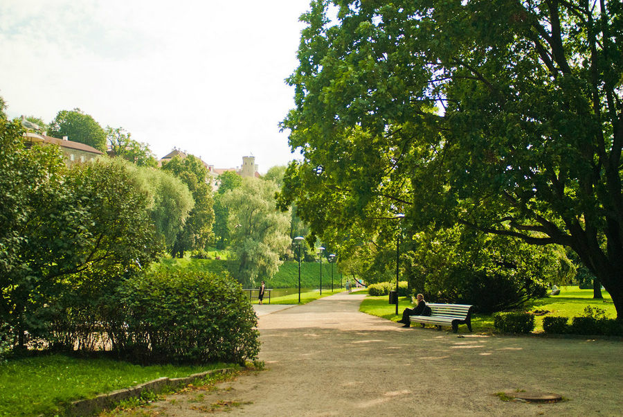 У подножия старого города большой и приятный парк. Таллин, Эстония