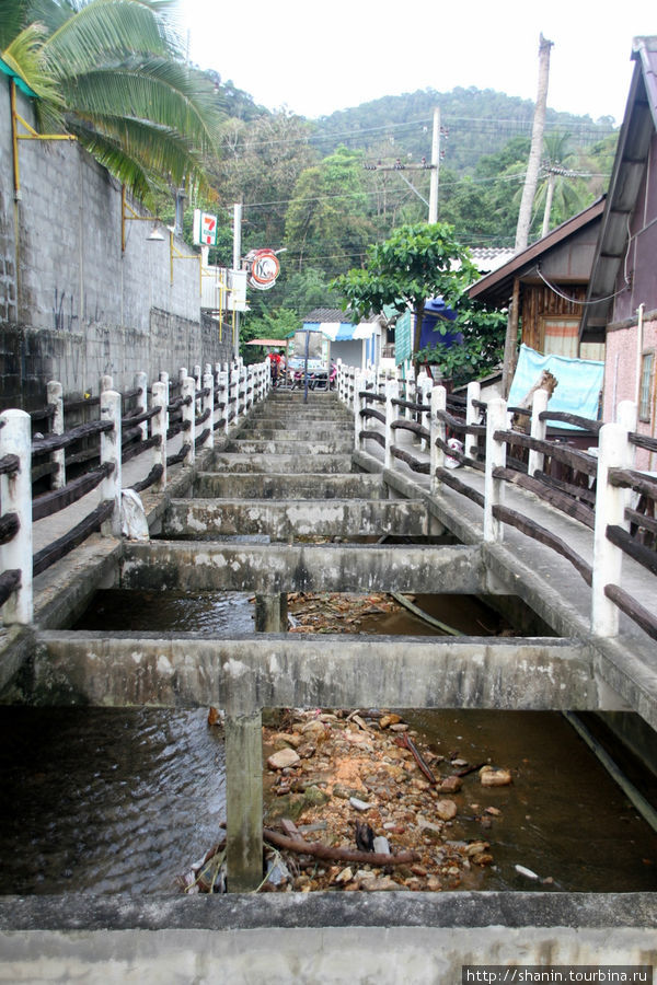 Эта речка делить поселок на две части — северную, для бэкпакеров, и южную — для организованных туристов. Остров Чанг, Таиланд