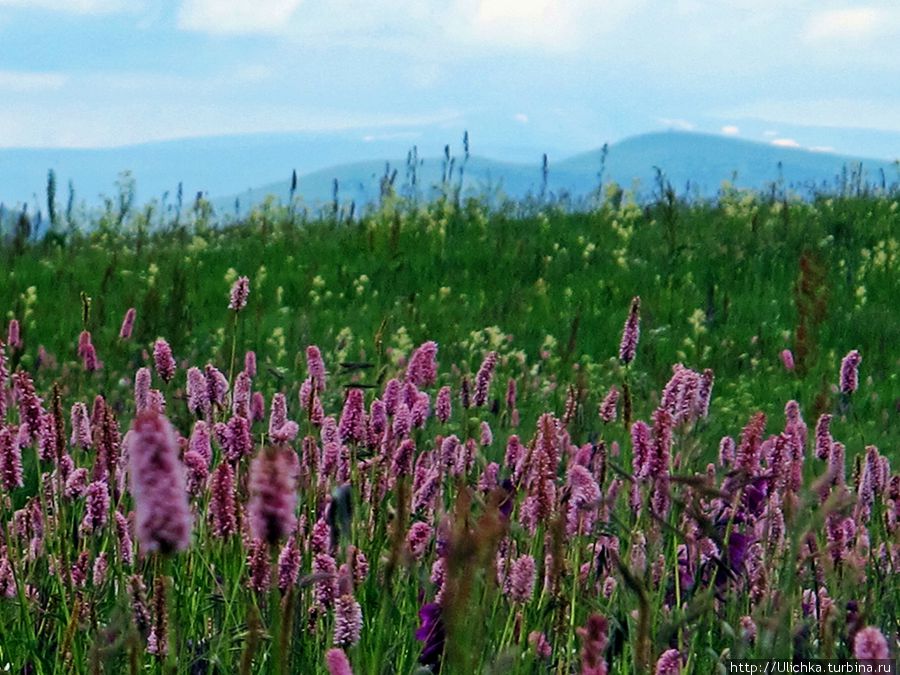 Цветы, облака и горы озера Паравани Ахалкалаки, Грузия